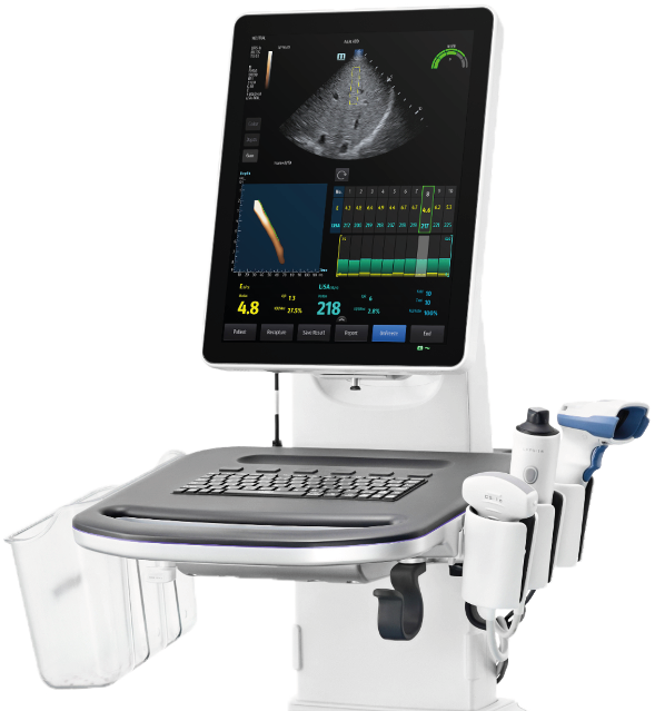 Hepatus